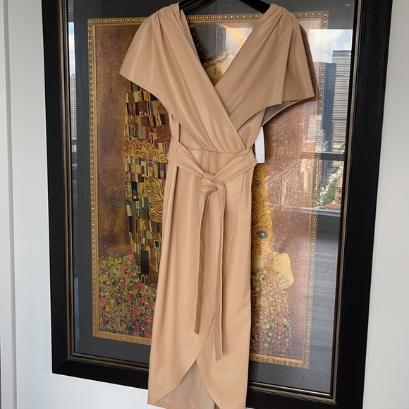NWT❤️Alice +Olivia Vegan midi dress - Picture 8 of 15